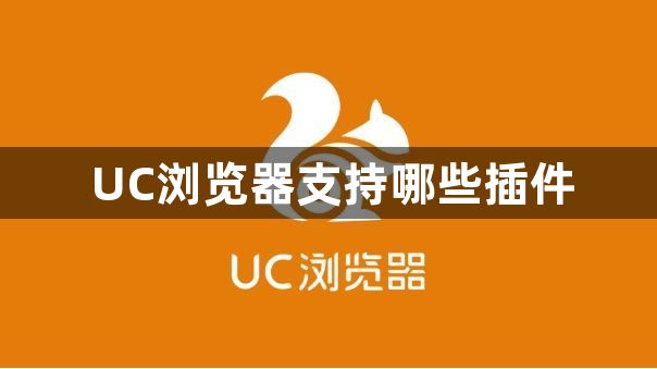 UC浏览器支持哪些插件1